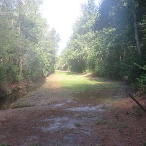 Photo #60 of SOLD property in 27500 NC 210 Hwy E, Currie, NC 330.0 acres