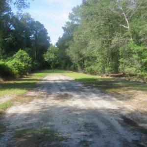 Photo #61 of SOLD property in 27500 NC 210 Hwy E, Currie, NC 330.0 acres