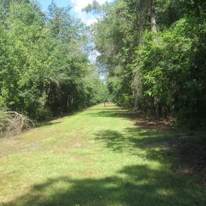Photo #62 of SOLD property in 27500 NC 210 Hwy E, Currie, NC 330.0 acres