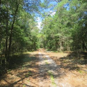 Photo #63 of SOLD property in 27500 NC 210 Hwy E, Currie, NC 330.0 acres