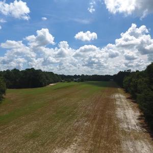Photo #10 of SOLD property in 27500 NC 210 Hwy E, Currie, NC 330.0 acres