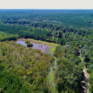 Photo #7 of SOLD property in 10431 Lake Royale Road, Spring Hope, NC 114.7 acres