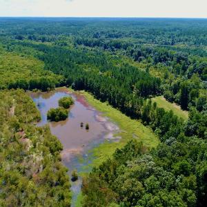Photo #8 of SOLD property in 10431 Lake Royale Road, Spring Hope, NC 114.7 acres