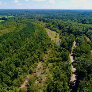Photo #9 of SOLD property in 10431 Lake Royale Road, Spring Hope, NC 114.7 acres