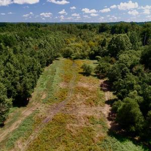 Photo #26 of SOLD property in 10431 Lake Royale Road, Spring Hope, NC 114.7 acres