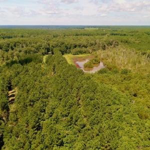 Photo #27 of SOLD property in 10431 Lake Royale Road, Spring Hope, NC 114.7 acres