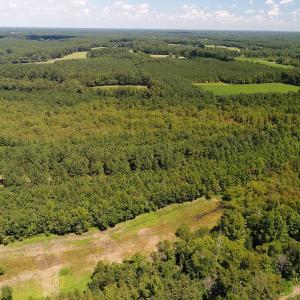 Photo #34 of SOLD property in 10431 Lake Royale Road, Spring Hope, NC 114.7 acres