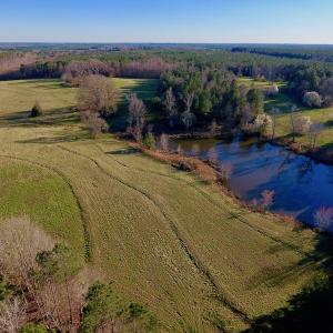 Photo #1 of SOLD property in Off Lynch Road, Hollister, NC 271.9 acres