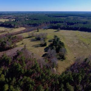 Photo #16 of SOLD property in Off Lynch Road, Hollister, NC 271.9 acres