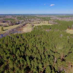 Photo #18 of SOLD property in Off Lynch Road, Hollister, NC 271.9 acres