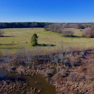 Photo #20 of SOLD property in Off Lynch Road, Hollister, NC 271.9 acres
