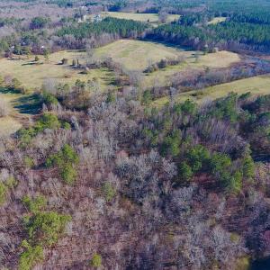 Photo #26 of SOLD property in Off Lynch Road, Hollister, NC 271.9 acres