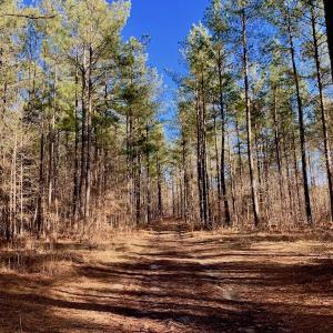 Photo #31 of SOLD property in Off Lynch Road, Hollister, NC 271.9 acres