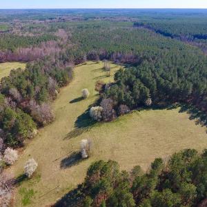 Photo #4 of SOLD property in Off Lynch Road, Hollister, NC 271.9 acres