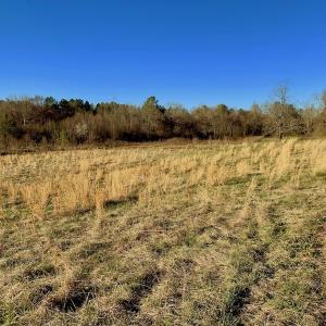 Photo #40 of SOLD property in Off Lynch Road, Hollister, NC 271.9 acres