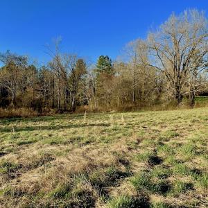 Photo #41 of SOLD property in Off Lynch Road, Hollister, NC 271.9 acres