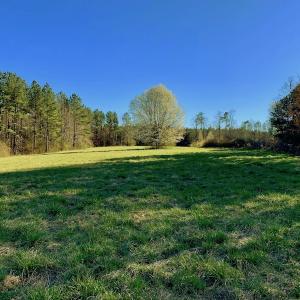 Photo #43 of SOLD property in Off Lynch Road, Hollister, NC 271.9 acres