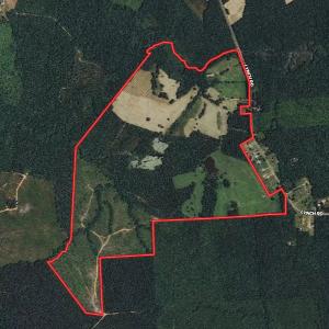 Photo #46 of SOLD property in Off Lynch Road, Hollister, NC 271.9 acres