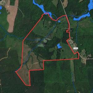 Photo #47 of SOLD property in Off Lynch Road, Hollister, NC 271.9 acres