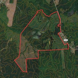 Photo #48 of SOLD property in Off Lynch Road, Hollister, NC 271.9 acres