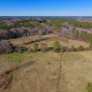 Photo #6 of SOLD property in Off Lynch Road, Hollister, NC 271.9 acres