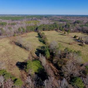 Photo #8 of SOLD property in Off Lynch Road, Hollister, NC 271.9 acres