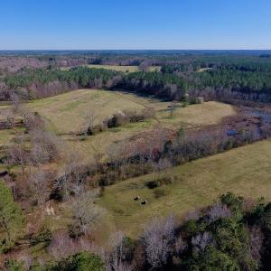 Photo #9 of SOLD property in Off Lynch Road, Hollister, NC 271.9 acres