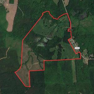 Photo #49 of SOLD property in Off Lynch Road, Hollister, NC 271.9 acres