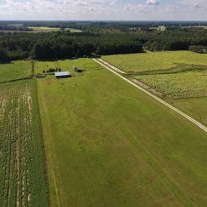 Photo #9 of SOLD property in Off Highway 124, Macclesfield, NC 8.0 acres