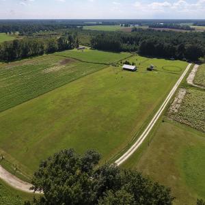 Photo #12 of SOLD property in Off Highway 124, Macclesfield, NC 8.0 acres