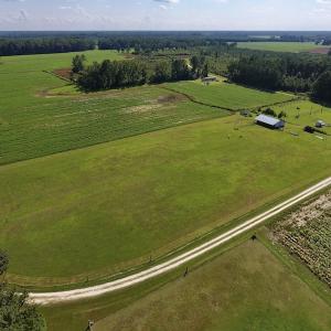 Photo #13 of SOLD property in Off Highway 124, Macclesfield, NC 8.0 acres