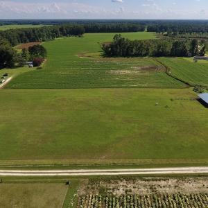 Photo #14 of SOLD property in Off Highway 124, Macclesfield, NC 8.0 acres