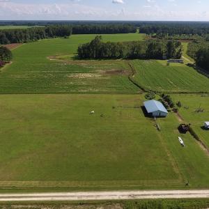Photo #15 of SOLD property in Off Highway 124, Macclesfield, NC 8.0 acres
