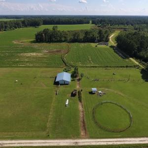 Photo #16 of SOLD property in Off Highway 124, Macclesfield, NC 8.0 acres