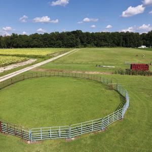 Photo #19 of SOLD property in Off Highway 124, Macclesfield, NC 8.0 acres