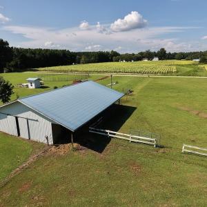 Photo #21 of SOLD property in Off Highway 124, Macclesfield, NC 8.0 acres