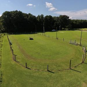 Photo #22 of SOLD property in Off Highway 124, Macclesfield, NC 8.0 acres