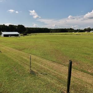Photo #23 of SOLD property in Off Highway 124, Macclesfield, NC 8.0 acres