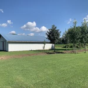Photo #28 of SOLD property in Off Highway 124, Macclesfield, NC 8.0 acres