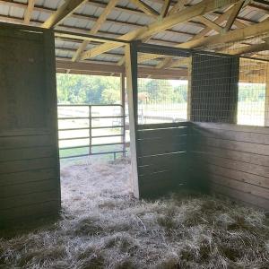 Photo #34 of SOLD property in Off Highway 124, Macclesfield, NC 8.0 acres