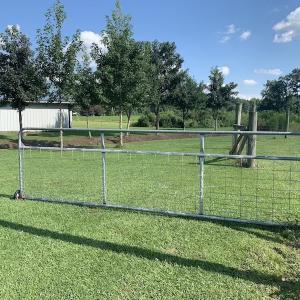 Photo #41 of SOLD property in Off Highway 124, Macclesfield, NC 8.0 acres