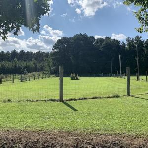 Photo #42 of SOLD property in Off Highway 124, Macclesfield, NC 8.0 acres