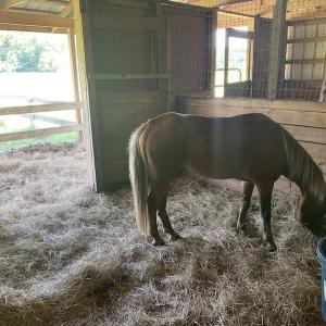 Photo #43 of SOLD property in Off Highway 124, Macclesfield, NC 8.0 acres