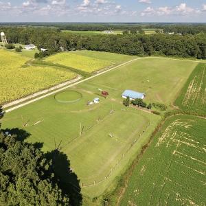 Photo #4 of SOLD property in Off Highway 124, Macclesfield, NC 8.0 acres