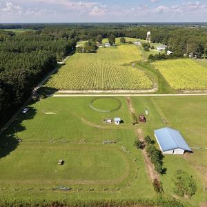 Photo #5 of SOLD property in Off Highway 124, Macclesfield, NC 8.0 acres