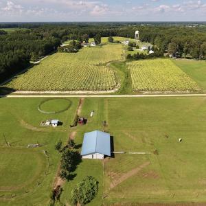 Photo #6 of SOLD property in Off Highway 124, Macclesfield, NC 8.0 acres