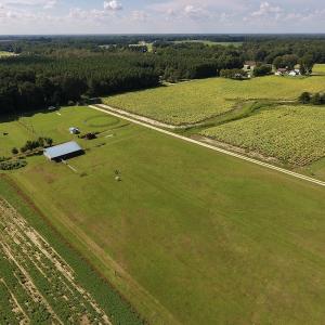 Photo #8 of SOLD property in Off Highway 124, Macclesfield, NC 8.0 acres