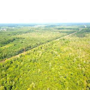Photo #2 of SOLD property in Off Okelly Road, Suffolk, VA 113.0 acres