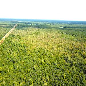 Photo #3 of SOLD property in Off Okelly Road, Suffolk, VA 113.0 acres