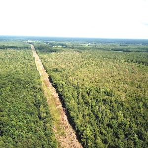 Photo #4 of SOLD property in Off Okelly Road, Suffolk, VA 113.0 acres